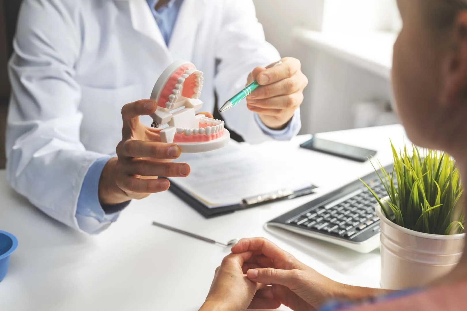 What Are the Key Components of a Dental Implant? Aurora, CO?